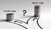 micro-cap-vs-small-cap-is-it-worth-the-risk