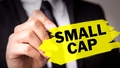 should-a-retiree-stop-investing-in-small-cap-funds