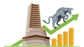 ipo-corner-a-snapshot-into-d-street-debutants